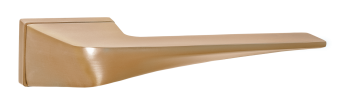 INAL 560-01 SSG