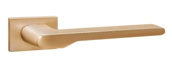 INAL 561-01 SSG