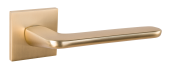 Ручка дв. TIXX 235-03 SLIM SSG "Калатея" (золото матовое сатинированное)