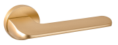 Ручка дв. RENZ DH 319-06 SSG "Мерано" (золото матовое сатинированное)