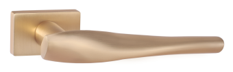 INDH 326-01 SSG
