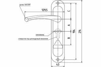 photo_2025-02-18_16-50-50